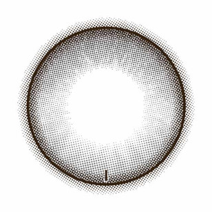 MOLAK Toric(散光) Dollish Gray モラク トーリック ドーリッシュグレー